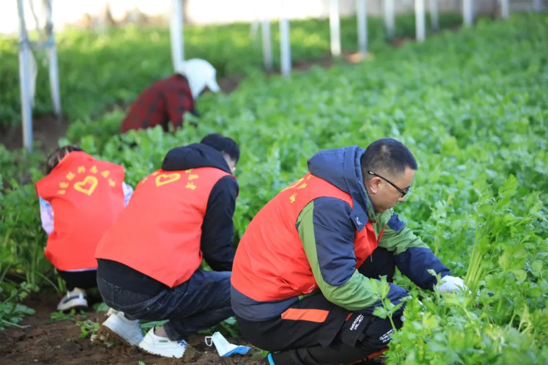 愛心助農，我們在行動！